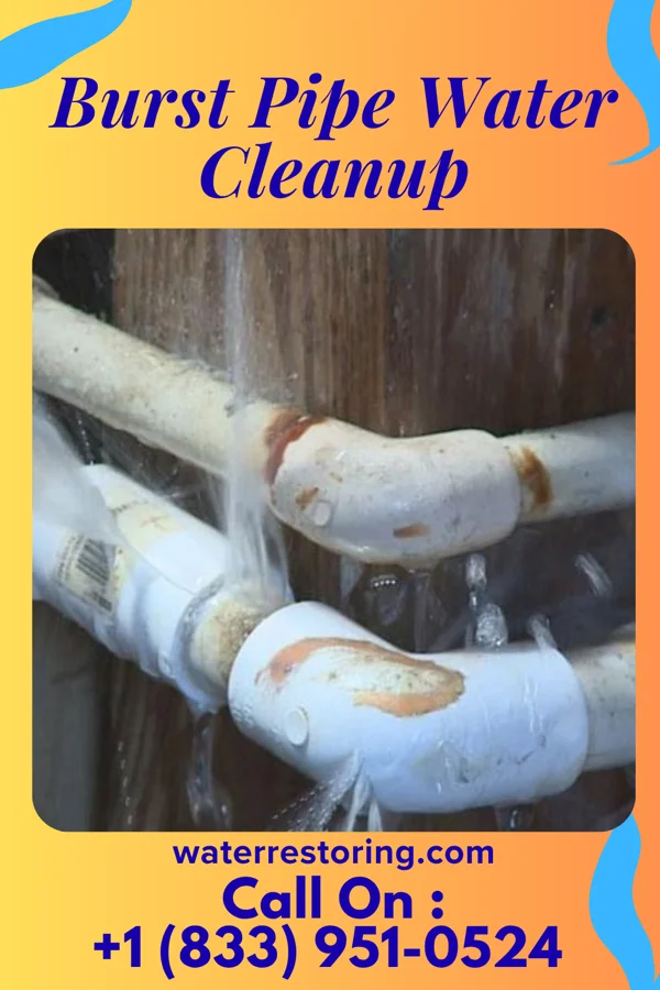 Burst Pipe Water Cleanup in Lost Creek, WV