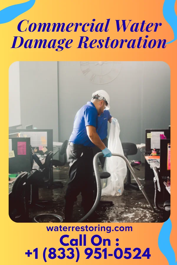 Commercial Water Damage Restoration in Lost Creek, WV