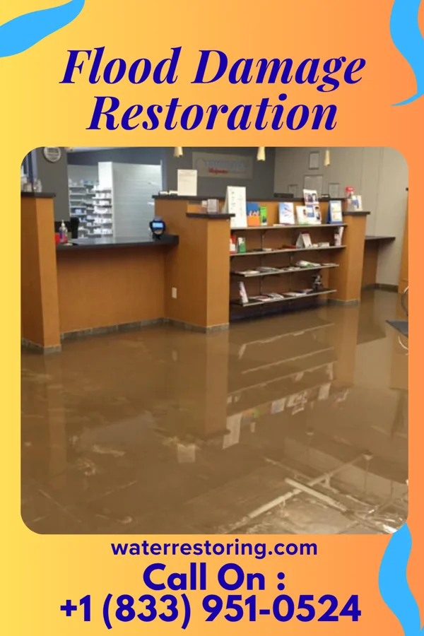 Flood Damage Restoration in Lost Creek, WV