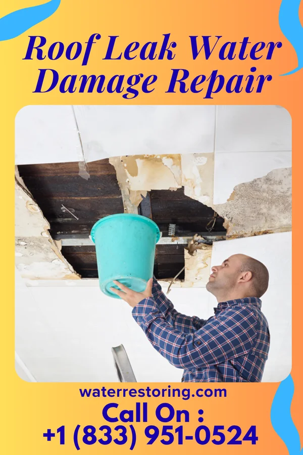 Roof Leak Water Damage Repair in Lost Creek, WV