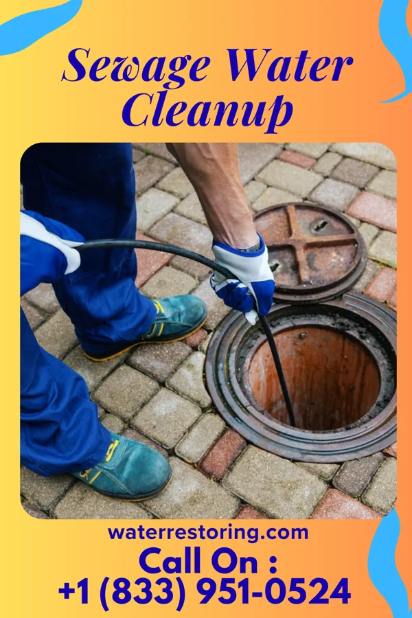 Sewage Water Cleanup in Lost Creek, WV