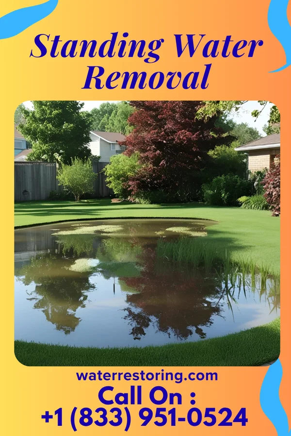 Standing Water Removal in Lost Creek, WV